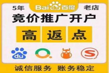 搜索开户返点揭秘：成功案例分享